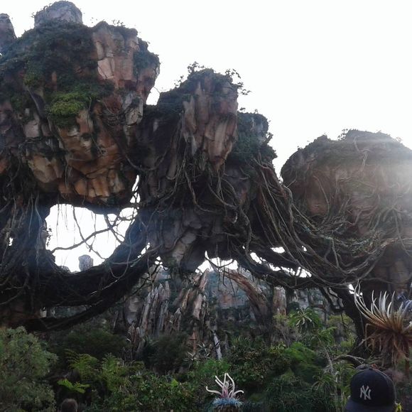 Meet your Posher, Sherry - Picture 1 of 1